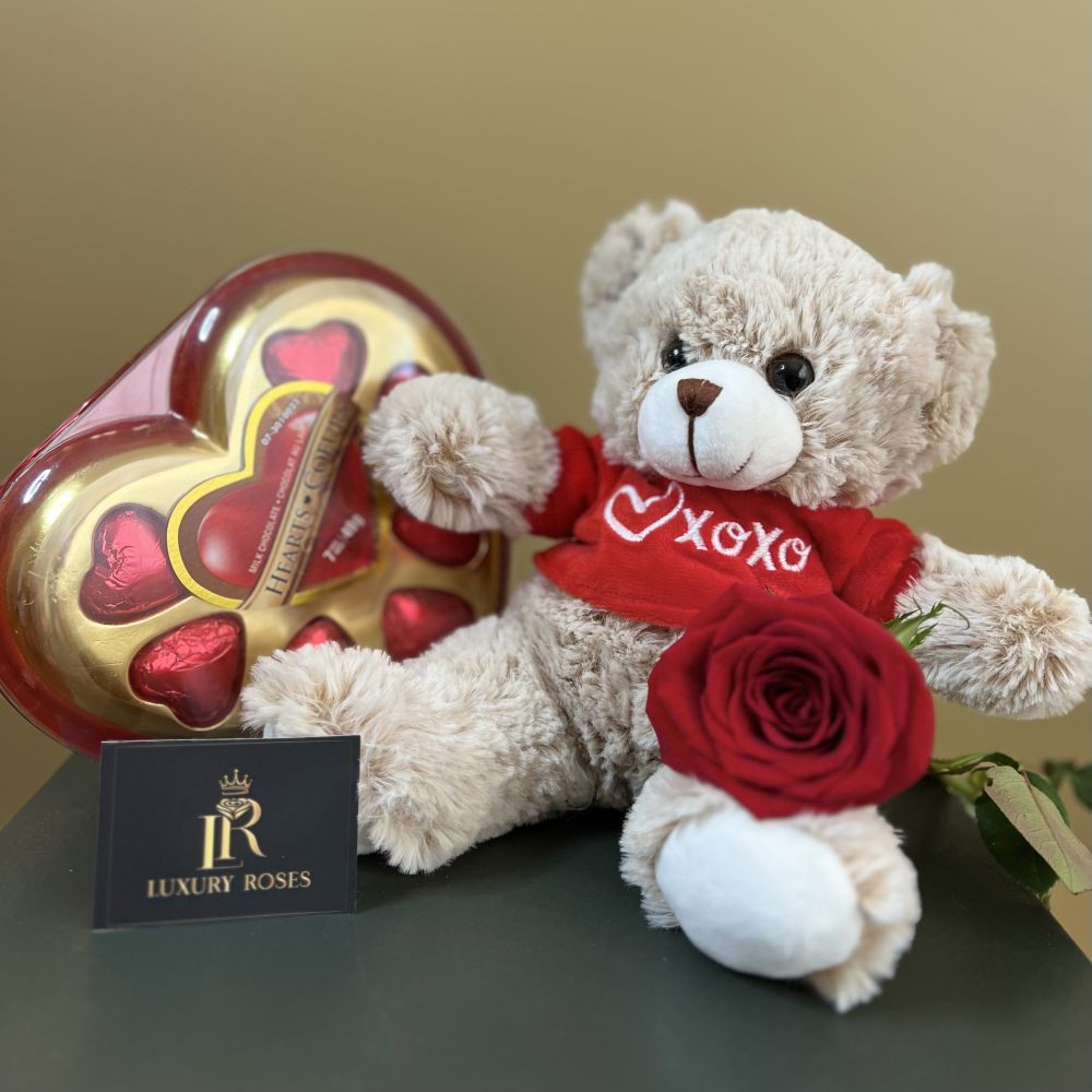 VALENTINE'S DAY SINGLE ROSE TEDDY & CHOCOLATE