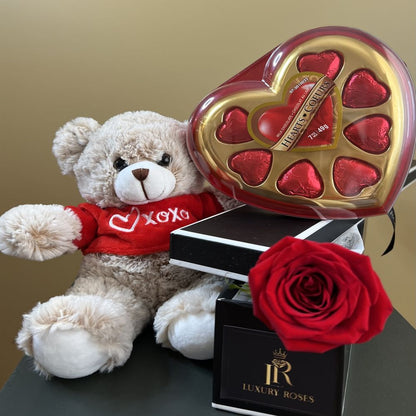 VALENTINE'S DAY SINGLE ROSE TEDDY & CHOCOLATE