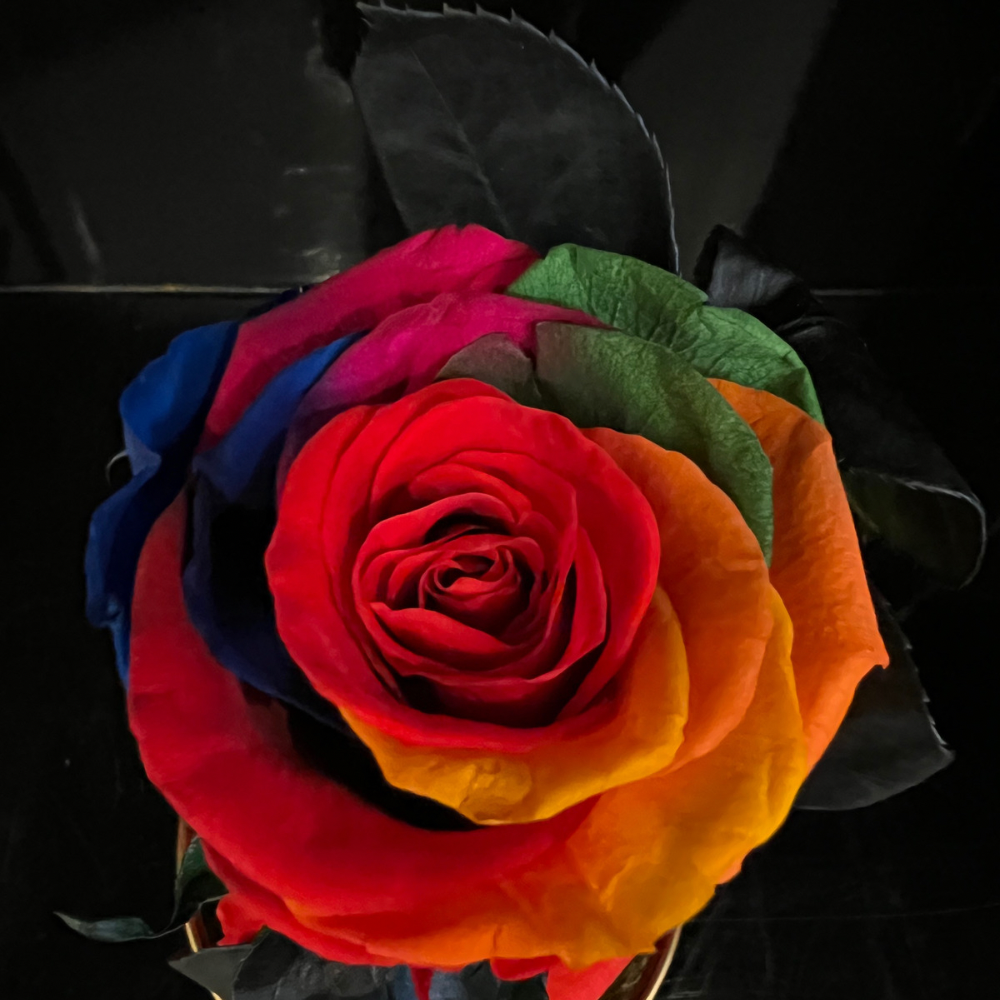 LONG LASTING ROSE - SMALL RAINBOW