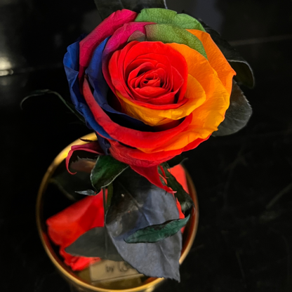 LONG LASTING ROSE - SMALL RAINBOW