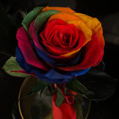 LONG LASTING ROSE - SMALL RAINBOW