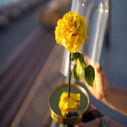 LONG LASTING ROSE - LARGE YELLOW