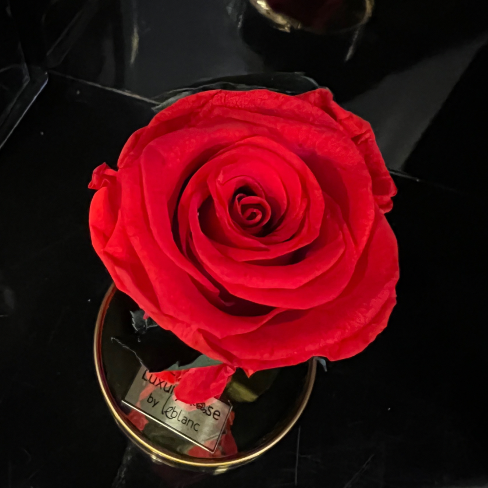 LONG LASTING ROSE - SMALL RED